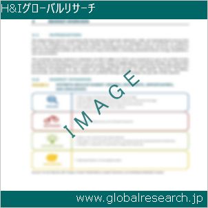 グローバルリサーチ調査レポートのイメージ